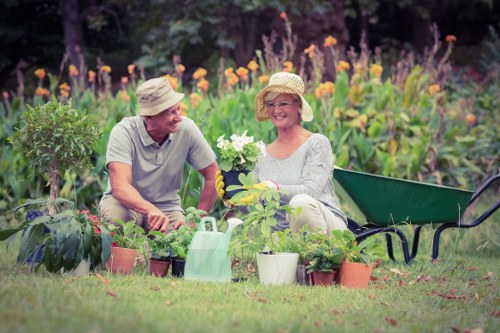 A professional garden makeover plan for a residential or commercial Fitzrovia outdoor space