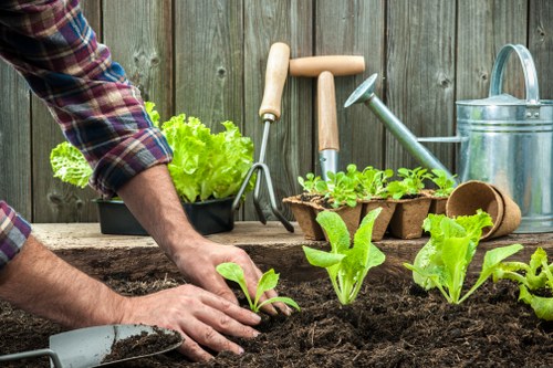Commercial outdoor landscaping suitable for Fitzrovia properties