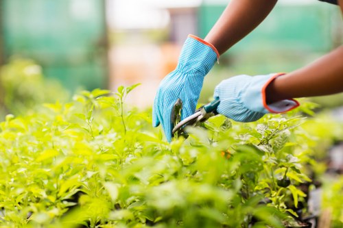 Landscaping Fitzrovia team committed to ethical working practices