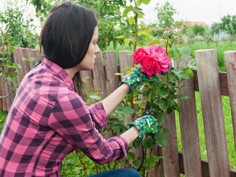 Charity partnership reusing plants and landscaping materials