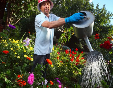 Governing law and contract update terms for landscaping