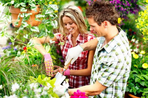 Professional soft landscaping for homes and businesses in Fitzrovia