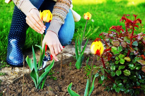 Investigation stage for a landscaping service concern