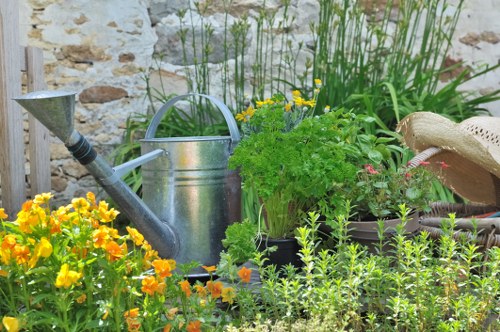 Shade-tolerant courtyard planting suited to Fitzrovia landscaping