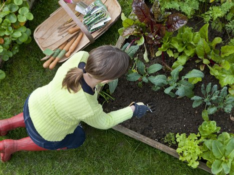 Payment, cancellation, and liability clauses for landscaping work