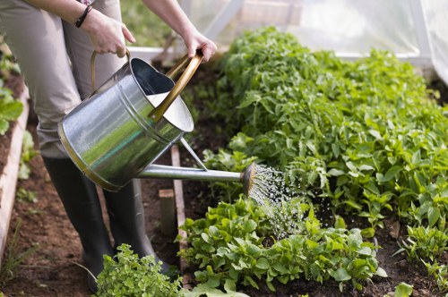 Seasonal planting and garden maintenance in Fitzrovia